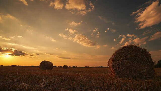 Summer sunset wide angle 4k time lapse video with round haystack bales landscape. Beautiful agriculture sunset video with spectacular sky.