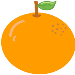 orange fruit vector illustration