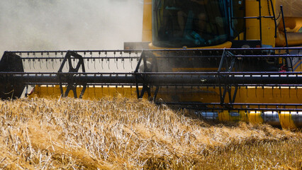 A combine harvester mows ripe wheat in the field. Close-up of the header. Wheat harvesting in Ukraine