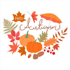 hello autumn seasonal decorated vector illustration