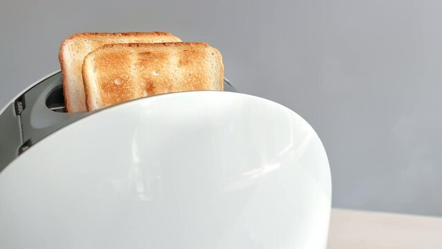 Fresh appetizing roasted bread slice rotation toaster kitchen table for cooking sandwich breakfast