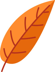 Autumn Tree Leaf