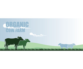 ORGANIG CATTLE FARM BANNER, silhouette of healthy cow eating grass at farm vector illustration. this image is perfect used for your banner or poster of your farm, t-shirt print, web wallpaper etc.