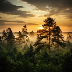 The beautiful nature landscape features a misty morning forest. (Generative AI)