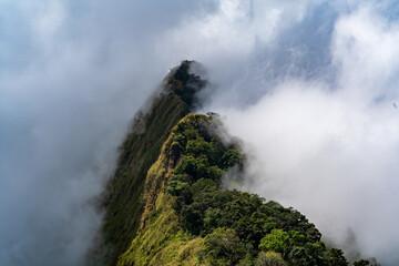 Mountain peak covered by the sea of cloud in northern of thailand (Nan province, Thailand) เด่นช้างนอน