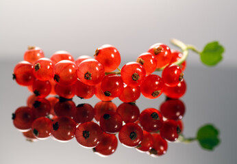 Red currant berries close up. Fresh and juicy organic redcurrant berry macro shot. Tasty vegan...