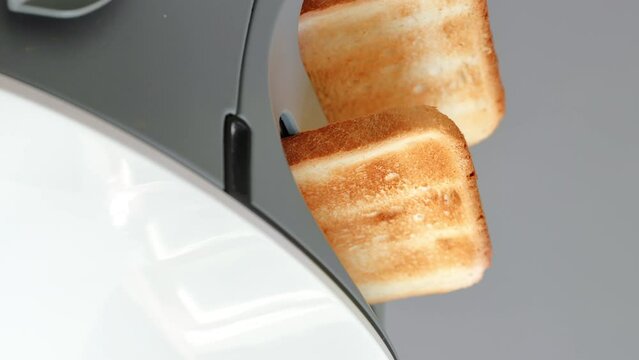 VERTICAL VIDEO POV two roasted appetizing crunchy bread slice rotation in modern toaster isolated