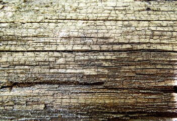 texture of old dilapidated wood closeup