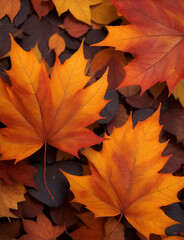 Naklejka na ściany i meble Autumn leaves pattern wallpaper maple leaves background
