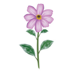 illustration of water color violet flower