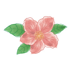 vector image of watercolor hibiscus flower
