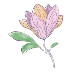 vector image of abstract watercolor magnolia flower