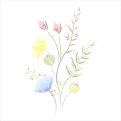 composition of wildflowers watercolor vector