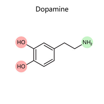 Chemical organic formula of dopamine diagram schematic raster illustration. Medical science educational illustration