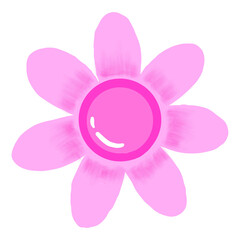 Fototapeta na wymiar pink flower isolated on white