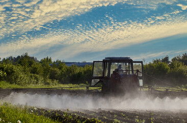 Fototapeta premium Spraying crops with herbicides using sprayer mounted on wheeled tractor.