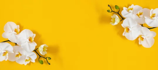 Poster Flowers trendy composition. White orchid flowers on yellow background. Spring, summer concept. Flat lay, top view, copy space © prime1001
