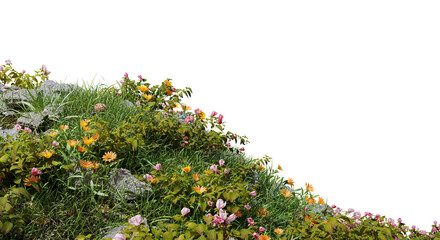 Field of flowers and grass cut out on transparent background.