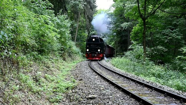 Steam locomotive of the Harz narrow-gauge railway runs through the forest, Saxony-Anhalt, Germany, Europe