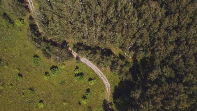 Orienteering athletes, orienteering, rogaine, runners with a map, orienteering competitions