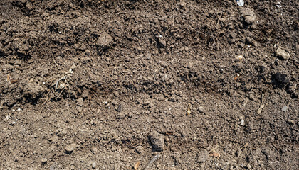 nature ground background, texture of fertile land. soil surface top view