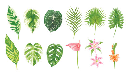 Fototapeta na wymiar Set of tropical leaves watercolor 