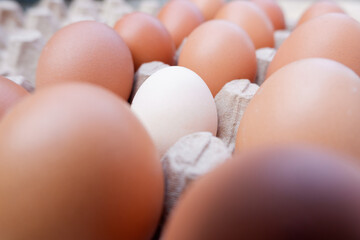 selectively focus on white eggs among brown eggs. soft focus. for the concept of mixed photos even though they are different and not racist