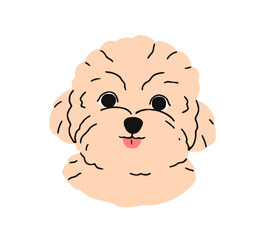 Cute puppy head of Maltese dog breed. Happy canine portrait, companion doggy, sweet little pup face. Adorable funny hairy muzzle avatar. Flat vector illustration isolated on white background