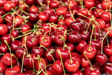 cherry a fruit in a closeup short