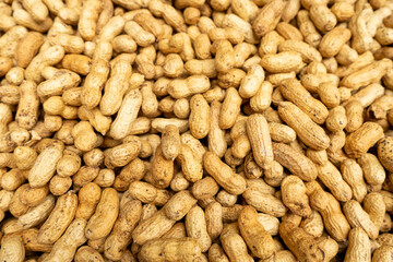 groundnut in a group display