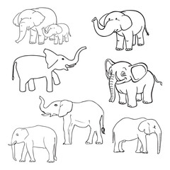 Vector elephants set of white background.