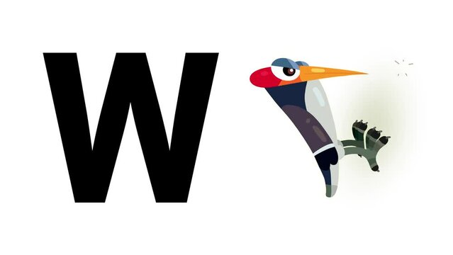 W letter big black like woodpecker cartoon animation. Animal loop. Educational serie with bold style character for children. Good for education movies, presentation, learning alphabet, etc...
