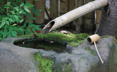 Handwashing place in a traditional Japan garden surrounded by natural greenery