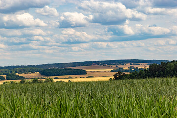 Fototapeta premium Summer landscape with fields and forests in the Czech Republic