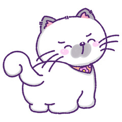 cat and mouse
