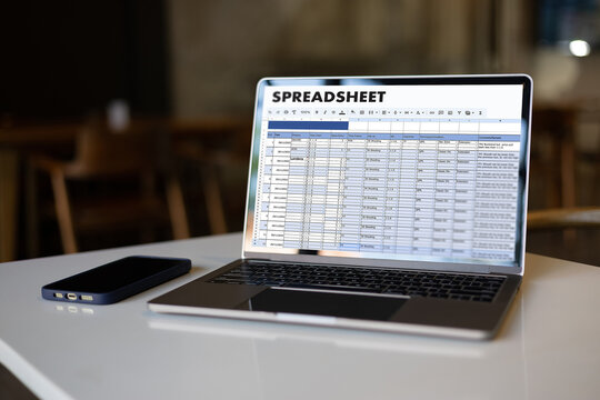 business financial Spreadsheet Document Information Data Analyst Statistics Spreadsheet On Computer: Datum Chart Budget planning and billing