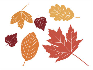autumn leaves. vector illustration. silhouette