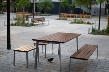 Fototapeta na wymiar Recreation area, benches, tables on a green street in a modern city. Freedom from transport.