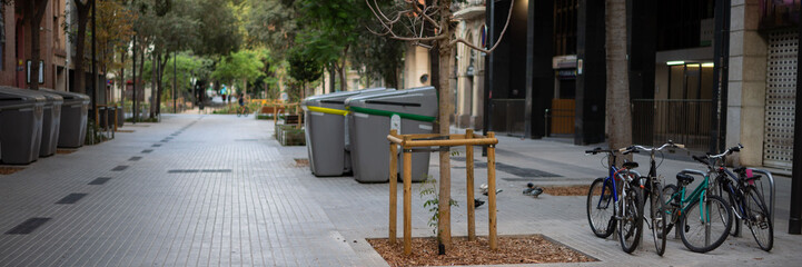 Green street in the modern city. Landscaping. Freedom from transport.