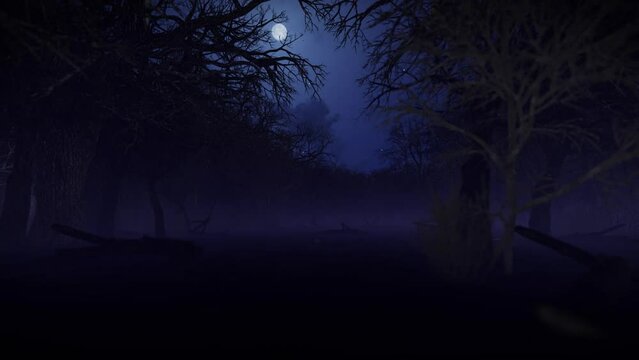 Camera fly through dark spooky forest