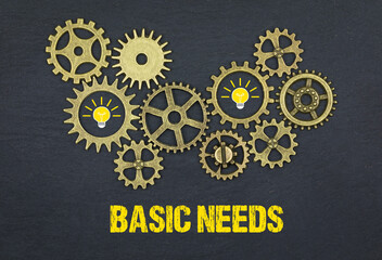 Basic needs	
