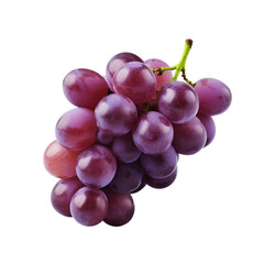 Fototapeta premium grape white background