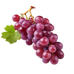 Fototapeta premium grape white background