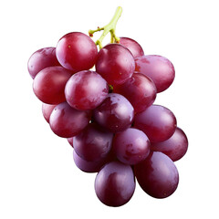 Fototapeta premium grape white background