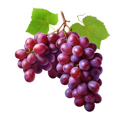Fototapeta premium grape white background