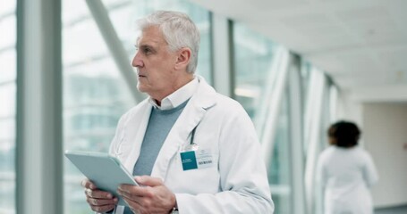 Senior doctor, tablet and walking in hospital for research, telehealth and healthcare. Digital technology, medical professional and surgeon or person on internet, wellness app or reading email online - Powered by Adobe
