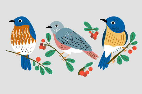 Vector illustration with bullfinches and red berries. Isolated vector illustration with birds.