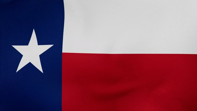 Texas US state fabric flag calm swaying in the wind, looped endless cycled video, completely full screen covers flag background