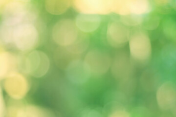 Fototapeta premium Green bokeh abstract, pattern of blurred bright light in natural background.