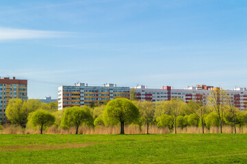 Spring park. Green trees on the background of multi-storey residential buildings